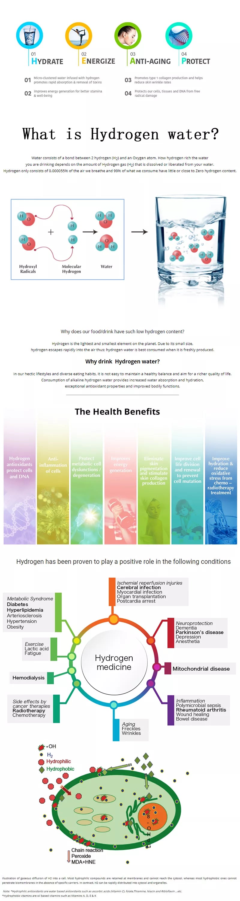💧H2GO-3000 Hydrogen Water Generator – Ultra-Pure Hydration & Detox